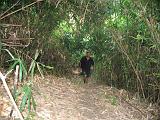 Filippine - Mindoro - 39